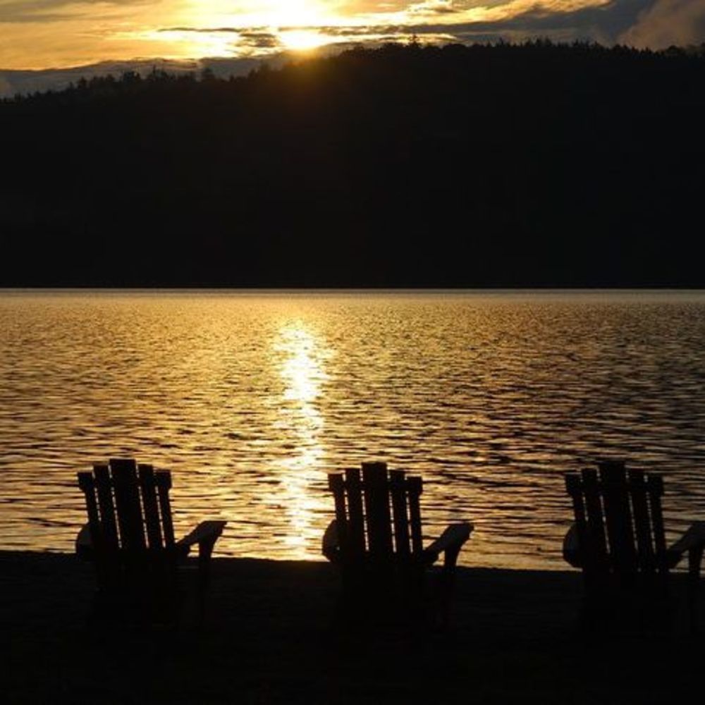 Meet your Posher, Charlie